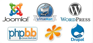Server ideali per ospitare cms come joomla..