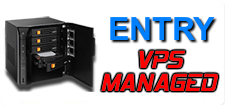 VPS Managed Entry VPS Managed Entry
